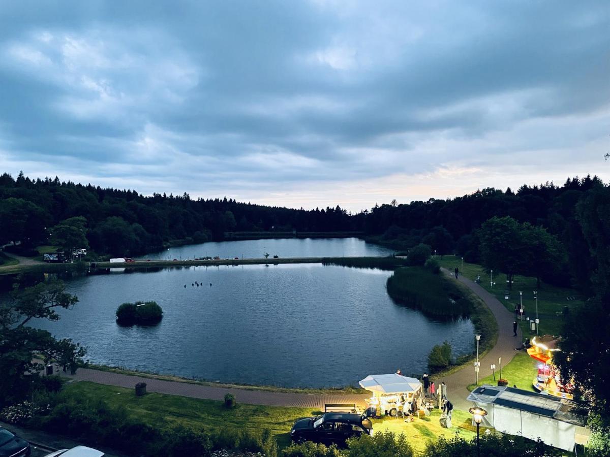 Apartment Seeblick Am Bocksberg - Hahnenklee "Vier Jahreszeiten" Гослар Экстерьер фото