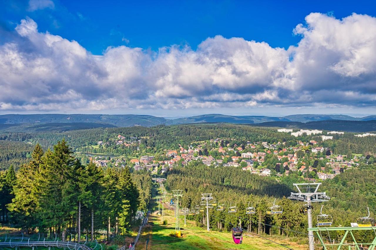 Apartment Seeblick Am Bocksberg - Hahnenklee "Vier Jahreszeiten" Гослар Экстерьер фото
